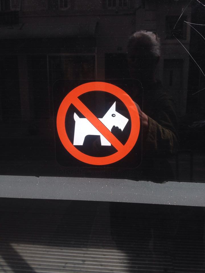 Dogsigns 2014 / Cannes