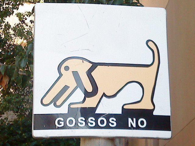 Dogsigns 2011