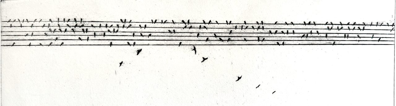 Birds on a wire